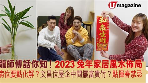 2023文昌位富貴竹|2023兔年家居風水佈局 龍師傅話你知！ 病位要點化。